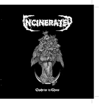Incinerated - Enshrine In Chaos