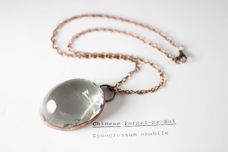 Image of Chinese Forget-Me-Not (Cynoglossum amabile) - Copper Plated Necklace #4