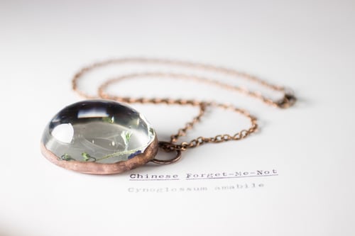 Image of Chinese Forget-Me-Not (Cynoglossum amabile) - Copper Plated Necklace #4