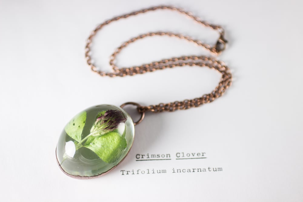 Image of Crimson Clover (Trifolium incarnatum) - Copper Plated Necklace #4