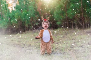 Image of Christmas Tree Farm Minis