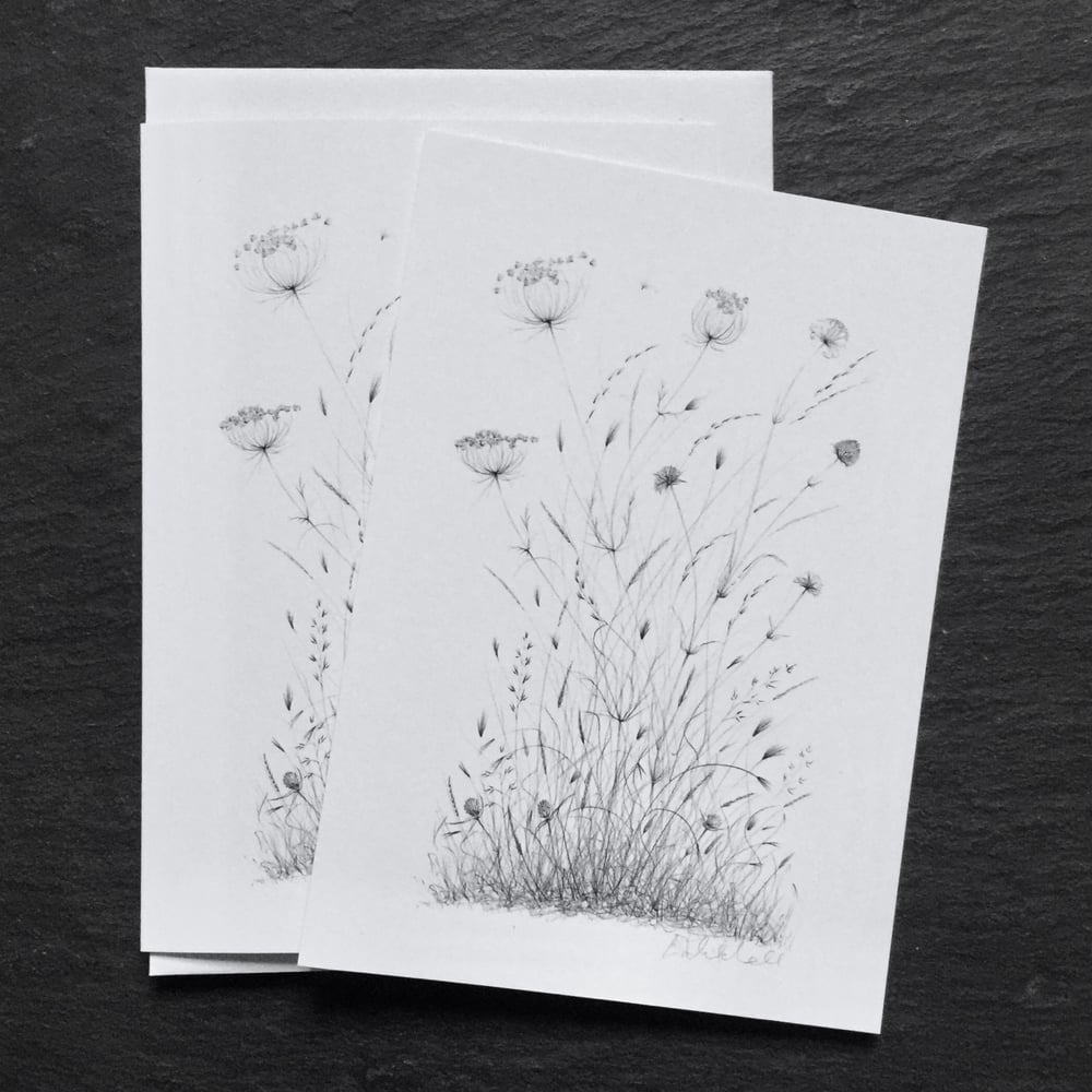 Image of Pack of 5 Greetings Cards or Postcard