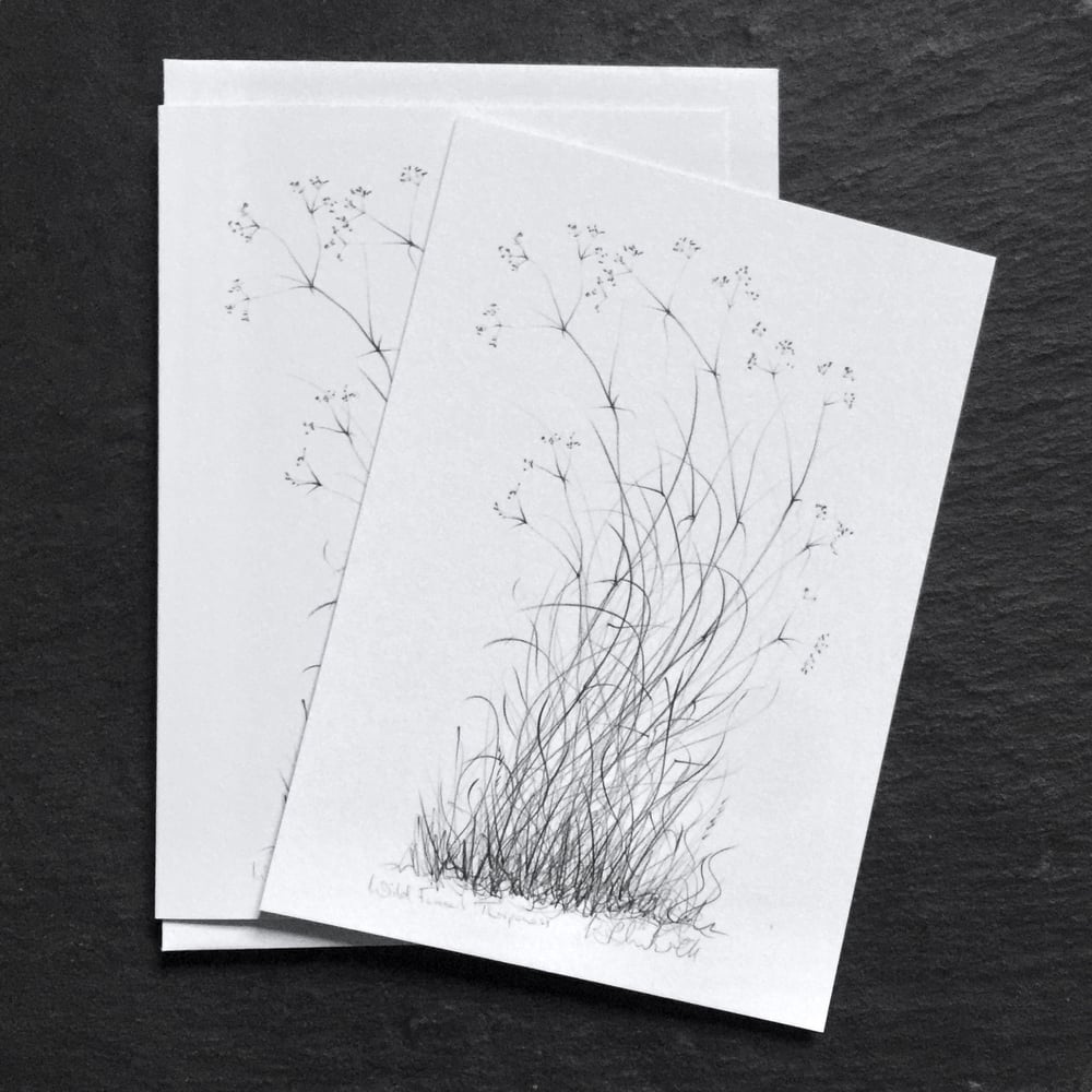 Image of Pack of 5 Greetings Cards or Postcards