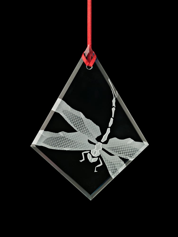 Image of Dragonfly (Down) Pendants