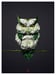Image of White Owl