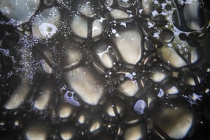Image of Drippy Eye Black/White Bubbles Print 