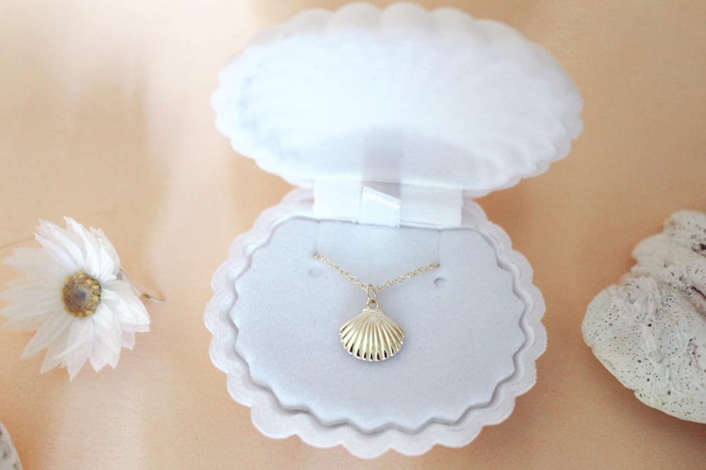 Image of Clam shell necklace