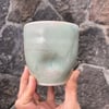 Mililani Mist Piko Cup