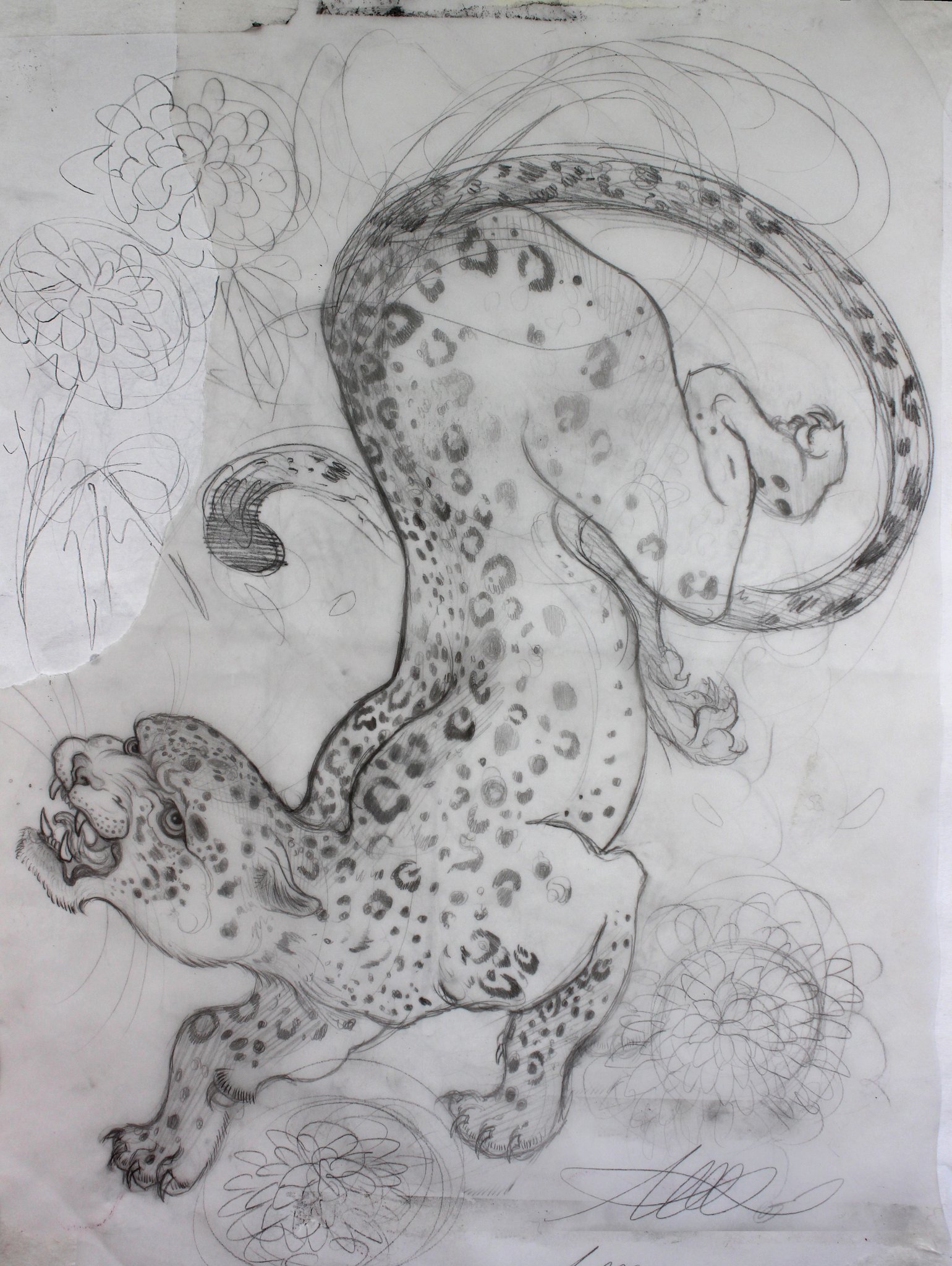 Image of Leopard Sketch