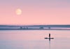 Pastel BOARDER Broughty Ferry