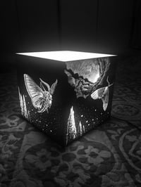 Image 4 of MOTH Eclipse - Engraved Lamp