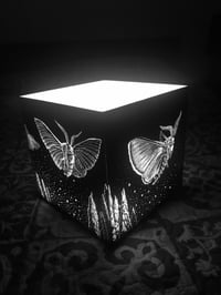 Image 5 of MOTH Eclipse - Engraved Lamp