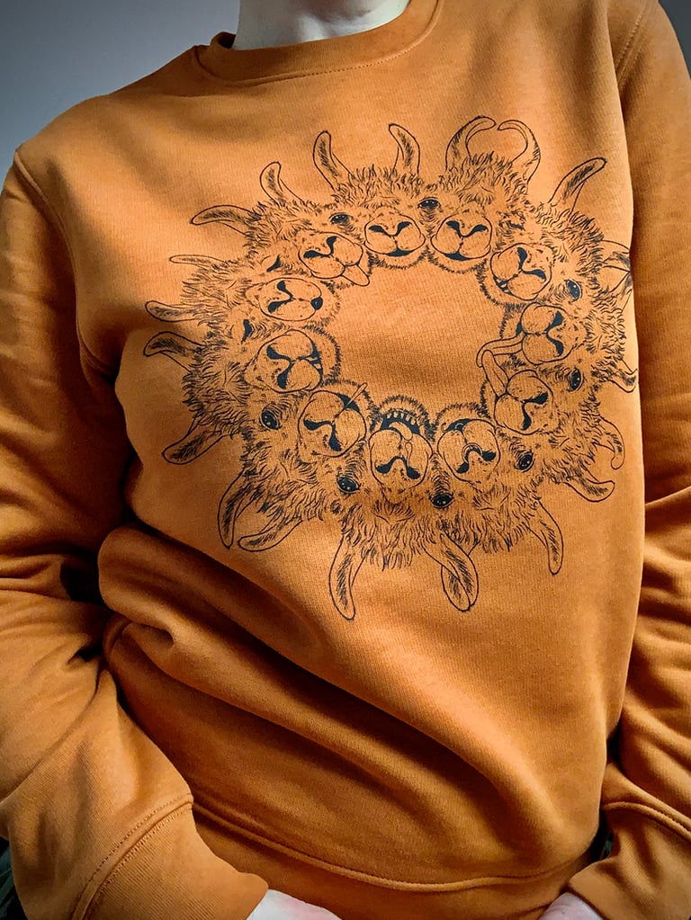 Lamandala Sweater - rust brown