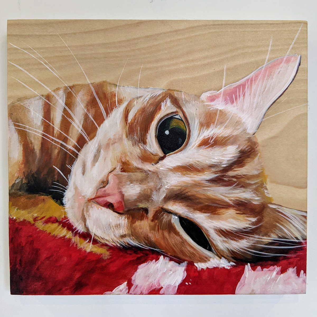 Pet Portraits sarahflinn