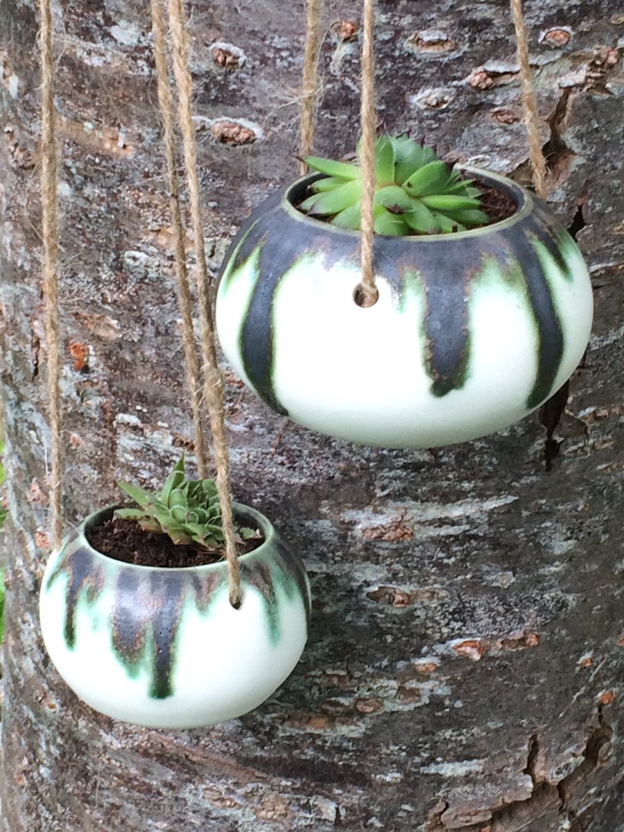 Image of Tiny hanging planter