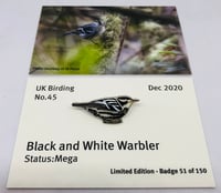 Image 1 of Black and white Warbler - No.45 - UK Birding Series