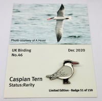 Image 1 of Caspian Tern - No.46 - UK Birding Pin Series