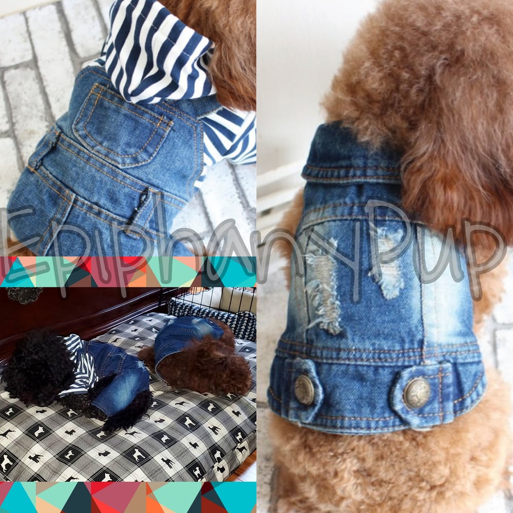 Image of The Hooded Overalls & The Denim Vest 🐾