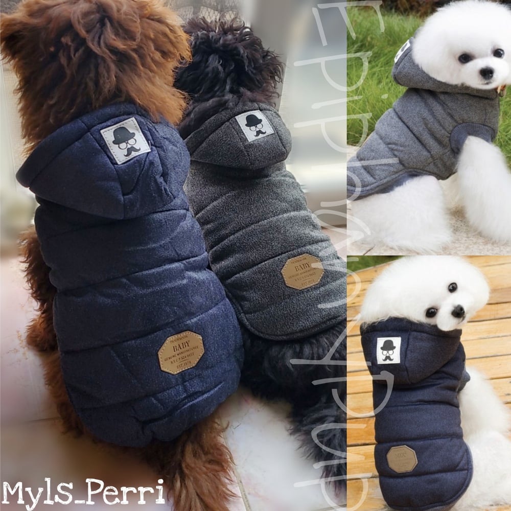 Image of The Danny Coat 🐾