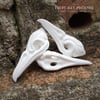 PYO Blank Fancy Bird Skulls