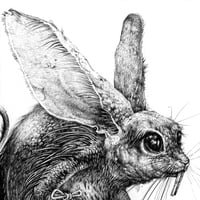 Image 2 of Turas - Print