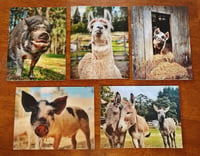 Greeting card set