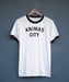 Image of Animas City - Shirt