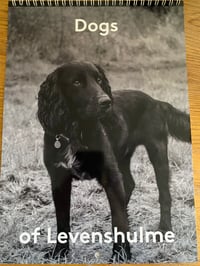 Dogs of Levenshulme 2021 calendar 