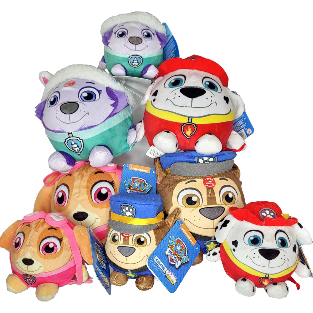 PAW Patrol Light Up Toys