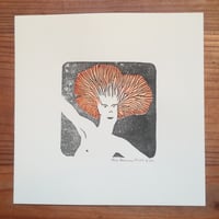 Champignon Chanterelle