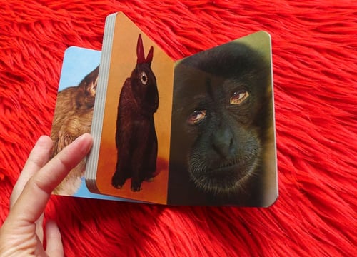 Image of 【Signed】'Various Animals' - book