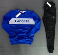 Blue Lacoste Men Pants Set 