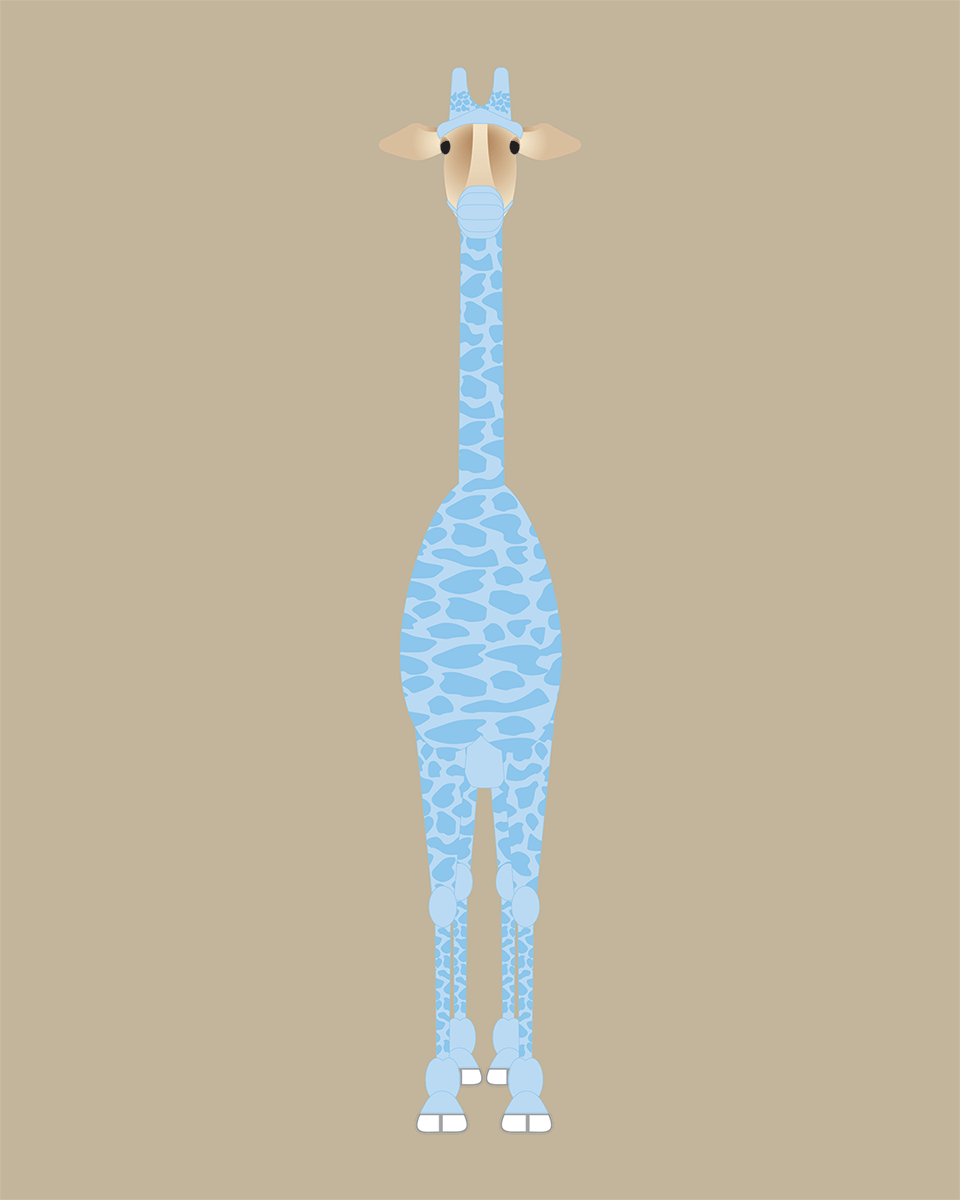 Giraffe Collection