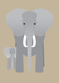 Image 1 of Elephant Collection