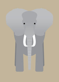 Image 2 of Elephant Collection