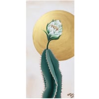 Image 1 of Peruvian Apple Cactus