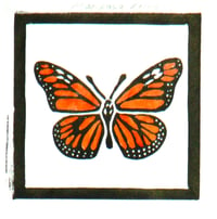 Mariposa Reina (Monarch Butterfly)