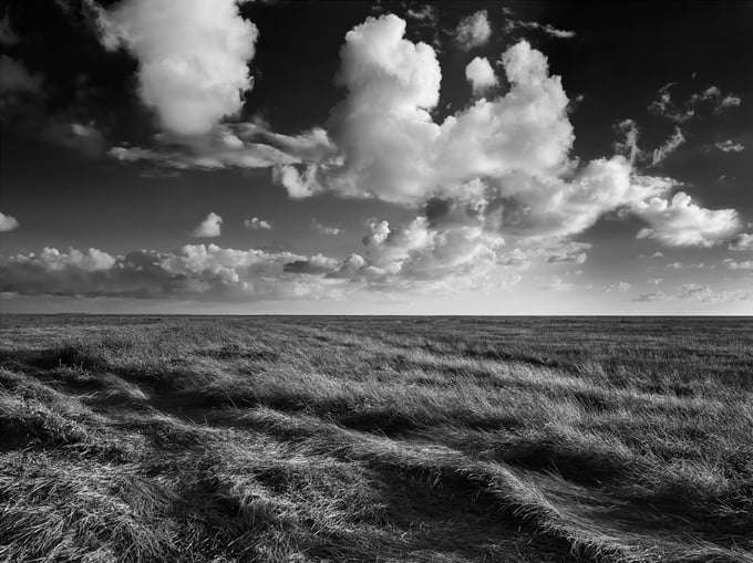 Image of "Northern Marshes" / 60cm x 80cm I Print / Ltd. Edition 50