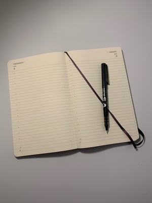Image of Sadie 2021 Diary