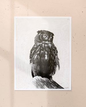 Image of OWL
