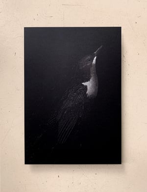 Image of DIPPER
