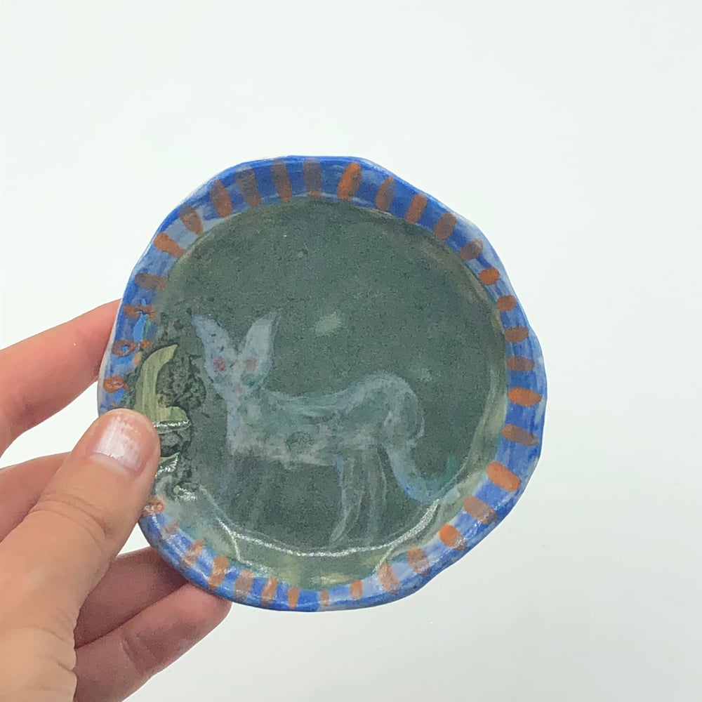 Image of Grey Ghost Cat