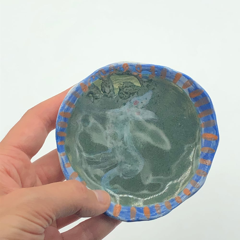 Image of Grey Ghost Cat