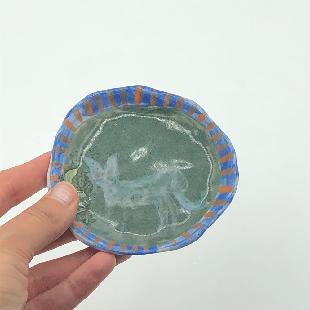 Image of Grey Ghost Cat