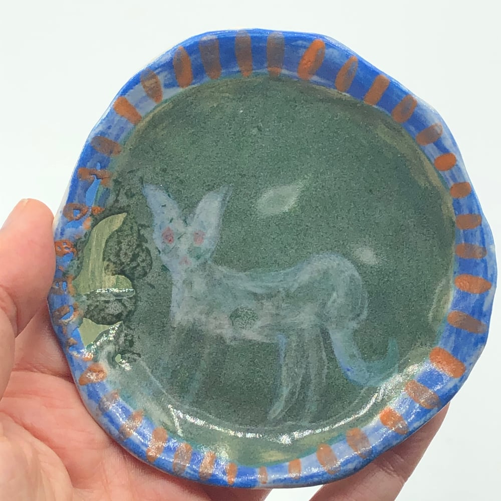 Image of Grey Ghost Cat