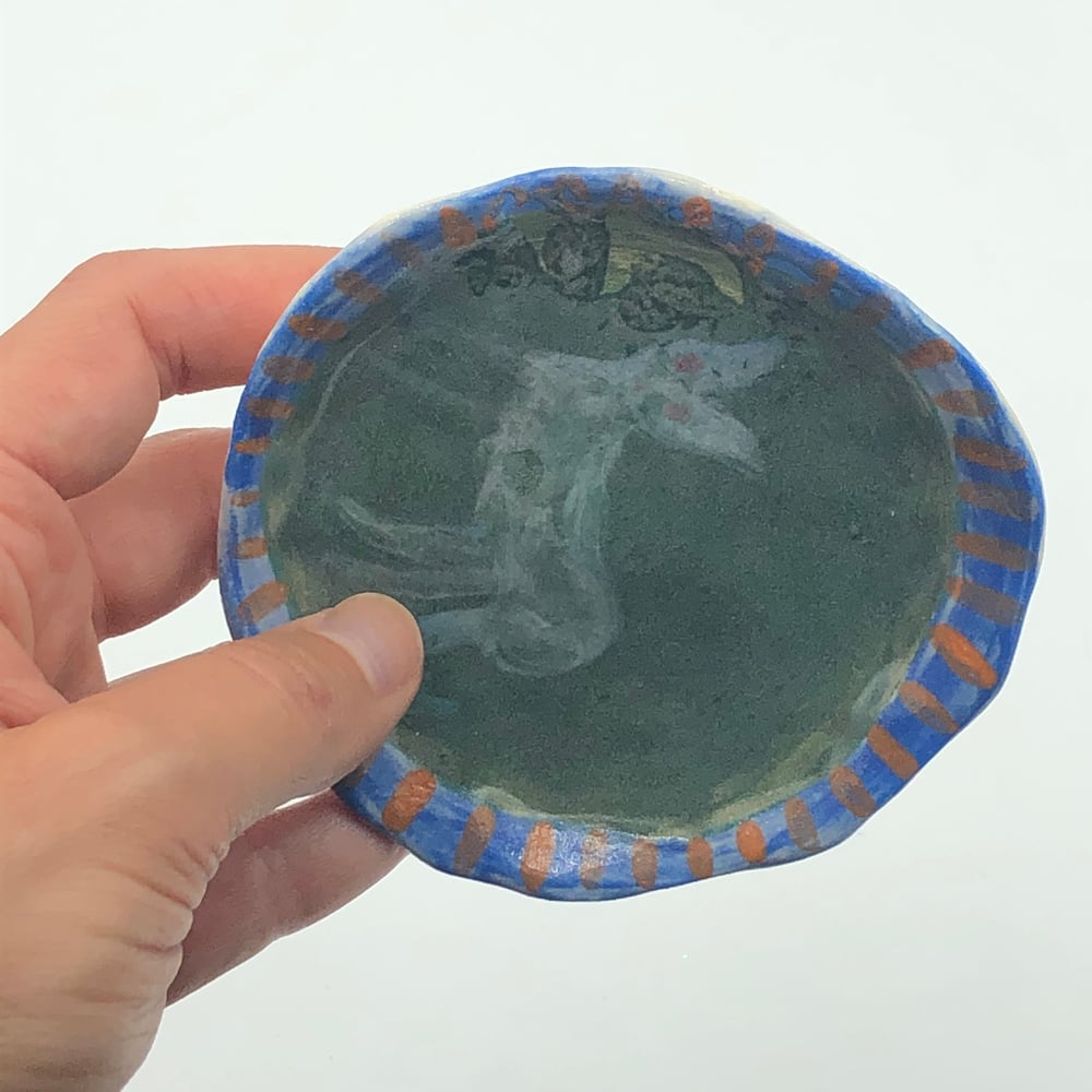 Image of Grey Ghost Cat