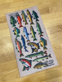 Image 2 of Fish Print Buff
