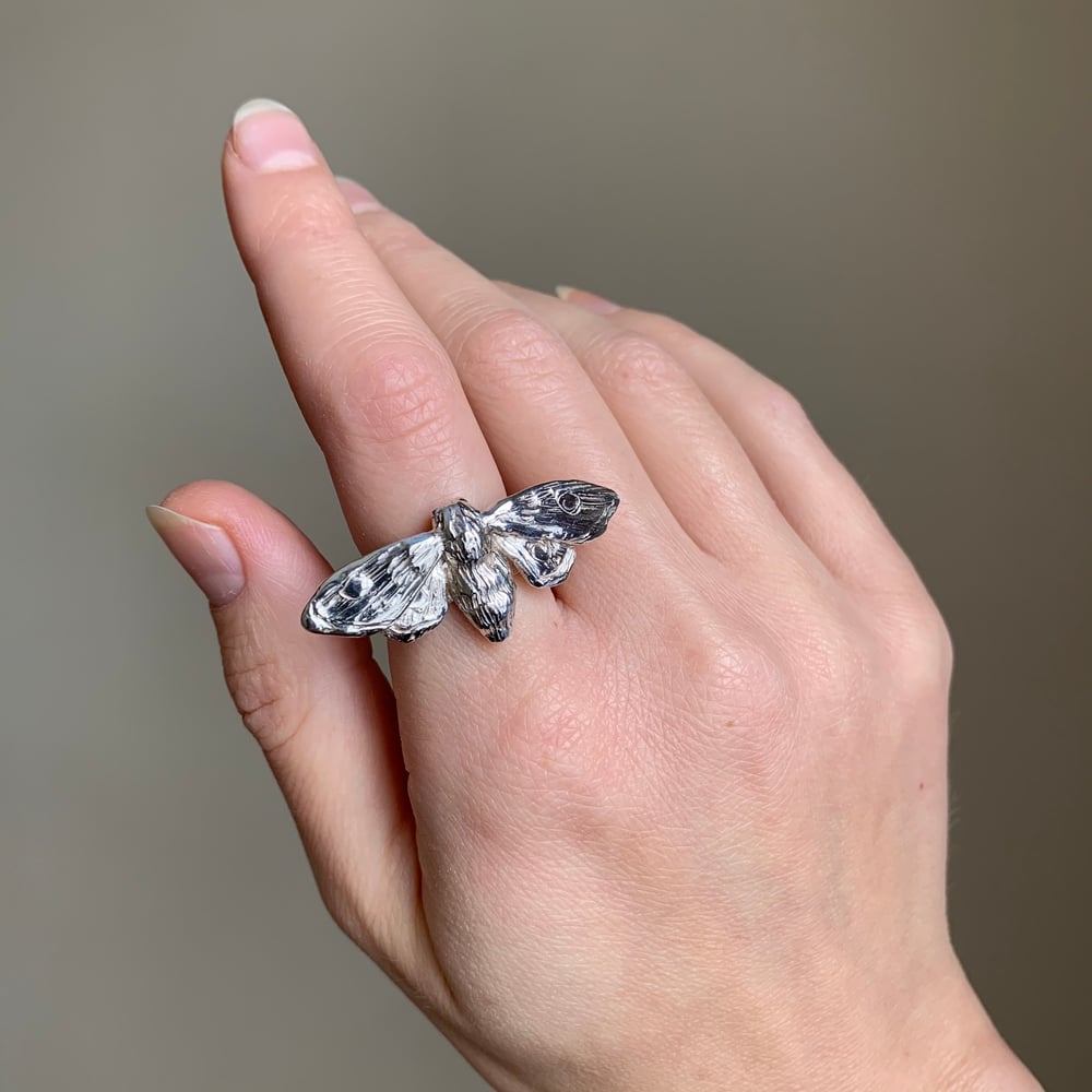 Image of Moth Ring 