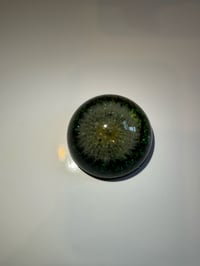 Image 3 of Colin Christian Handpicked Dandelion in Resin, small