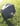 GOLF UMBRELLA - Large Black Invictus Golf Umbrella